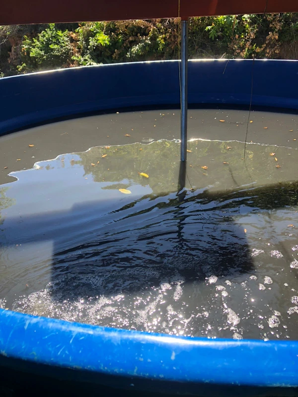 Empresa de tratamento de agua e esgoto